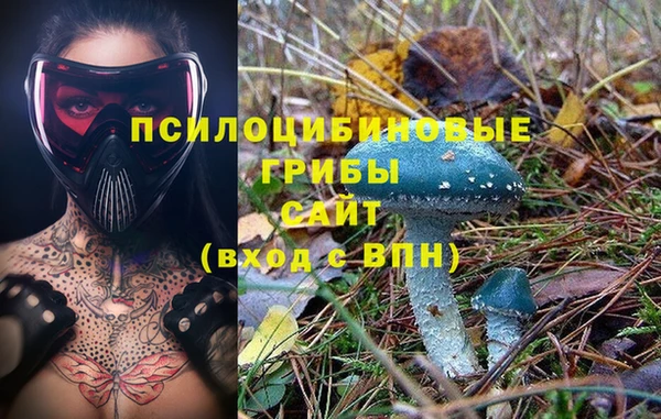 mdma Белокуриха