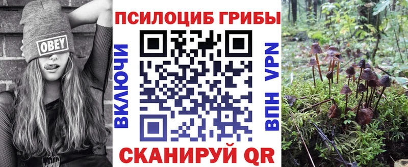Галлюциногенные грибы Magic Shrooms  цена   Красноуфимск 